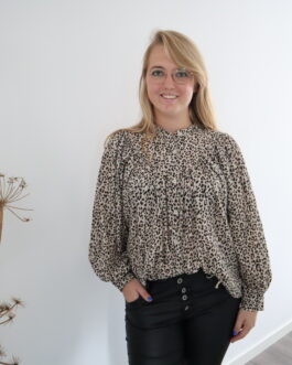 Blouse met plooien